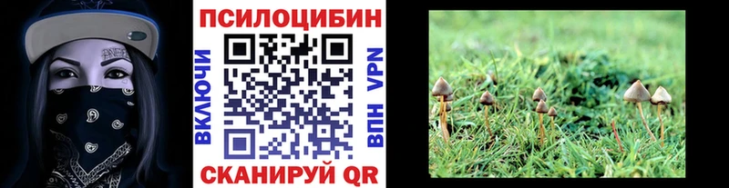 mega онион  Серов  Псилоцибиновые грибы Psilocybine cubensis  продажа наркотиков 