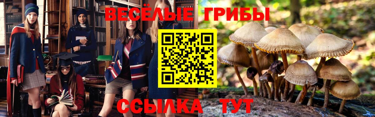 Галлюциногенные грибы прущие грибы  Галлюциногенные грибы Magic Shrooms  Серов  Вход с VPN 